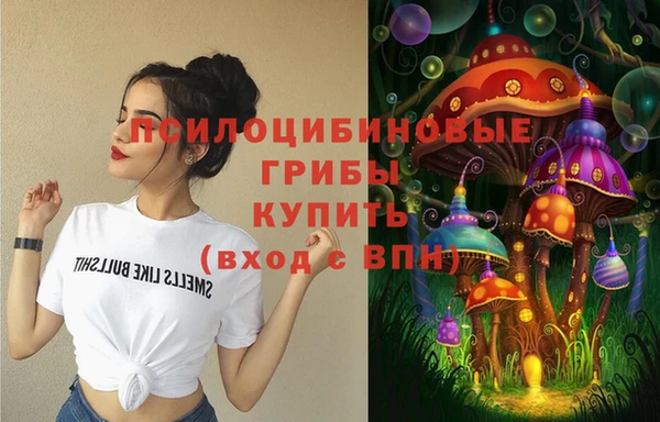мдпв Михайловка